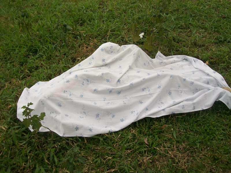 Traficantes matam rival, arrastam o corpo pela rua e determinam 